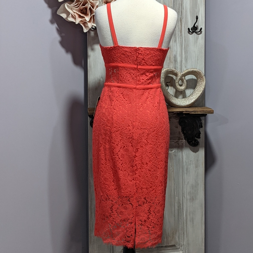 ❤️SOLD❤️NWT Express lacy sheath midi dress - Picture 4 of 9